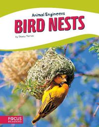 Cover image for Animal Engineers: Bird Nests