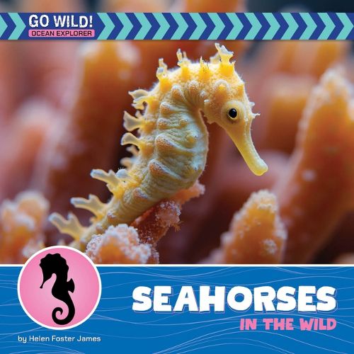 Cover image for Seahorses in the Wild
