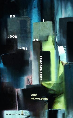Cover image for Do I Look Like an Atmosphere?