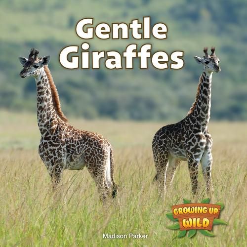 Cover image for Gentle Giraffes