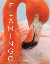 Cover image for Flamingo