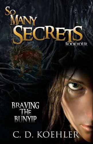 Cover image for So Many Secrets