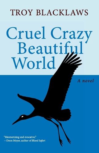 Cover image for Cruel Crazy Beautiful World