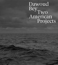 Cover image for Dawoud Bey: Two American Projects