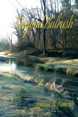 Cover image for Beyond Bulrush