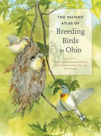 Cover image for The Second Atlas of Breeding Birds in Ohio