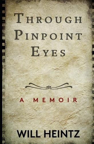 Cover image for Through Pinpoint Eyes