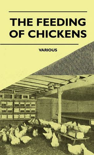 Cover image for The Feeding Of Chickens