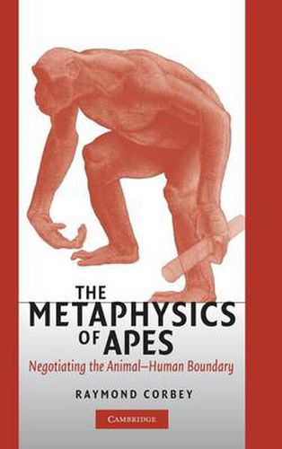 Cover image for The Metaphysics of Apes: Negotiating the Animal-Human Boundary