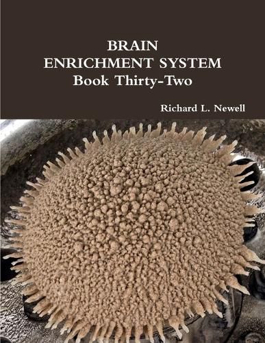 Cover image for BRAIN ENRICHMENT SYSTEM Book Thirty-Two