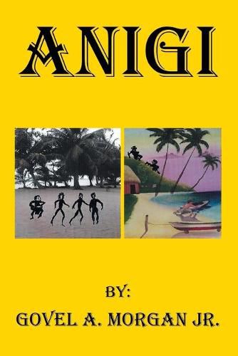 Cover image for Anigi