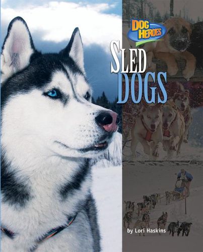 Cover image for Sled Dogs