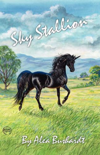 Cover image for Sky Stallion