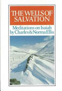 Cover image for Wells of Salvation