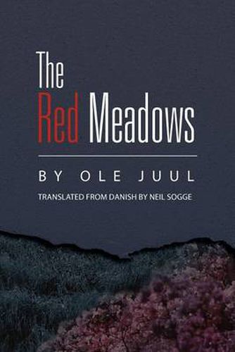 Cover image for The Red Meadows