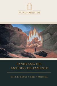 Cover image for Academico 1: Panorama Del Antiguo Testamento