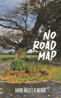 Cover image for No Road Map