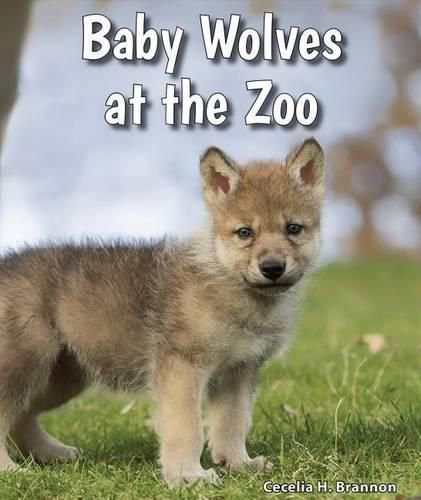 Cover image for Baby Wolves at the Zoo