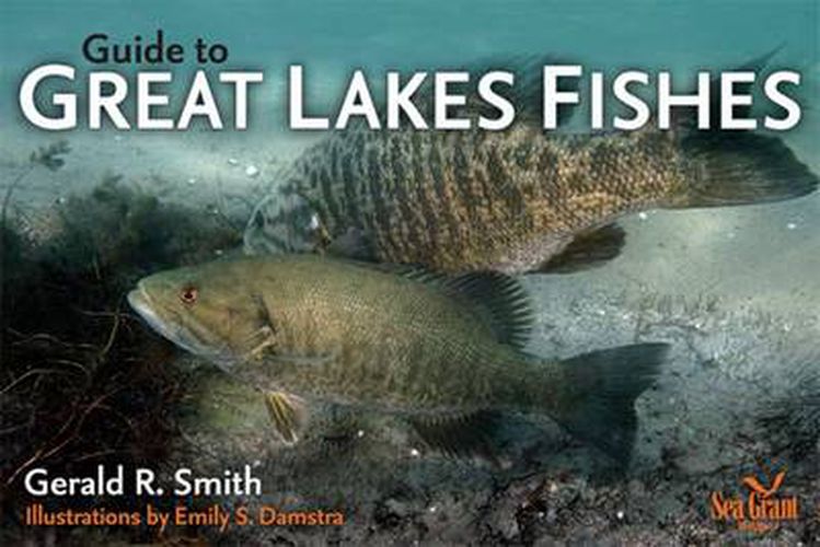 Cover image for Guide to Great Lakes Fishes