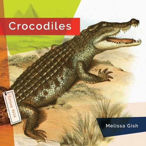 Cover image for Crocodiles