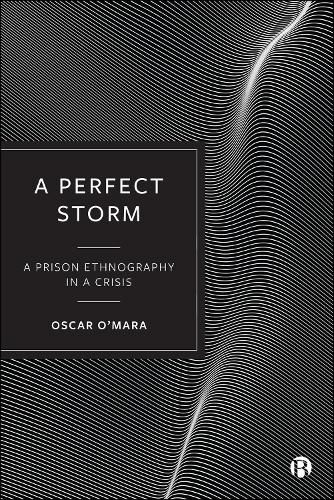 Cover image for "A Perfect Storm"