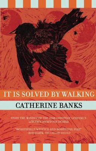 Cover image for It Is Solved by Walking