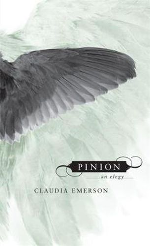 Cover image for Pinion: An Elegy