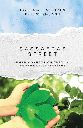 Cover image for Sassafras Street