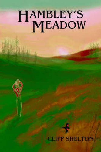 Cover image for Hambley's Meadow