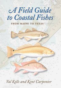 Cover image for A Field Guide to Coastal Fishes: From Maine to Texas