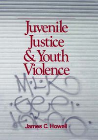 Cover image for Juvenile Justice and Youth Violence