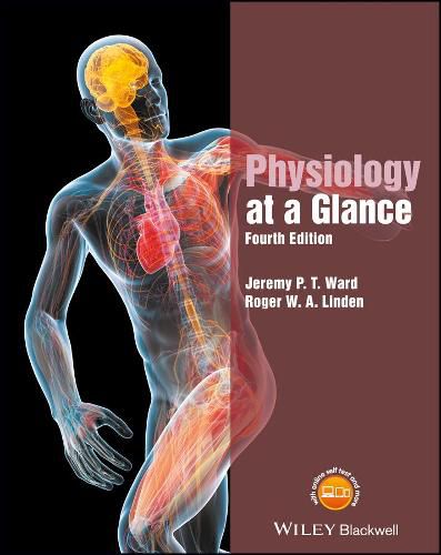 Cover image for Physiology at a Glance 4e