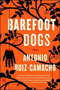 Cover image for Barefoot Dogs: Stories
