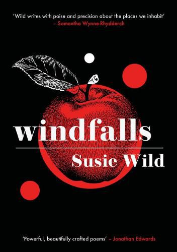 Cover image for Windfalls