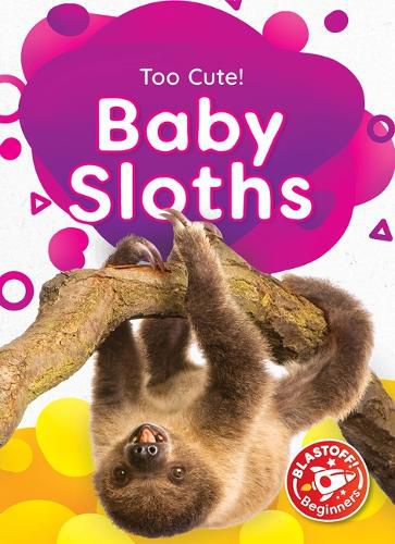 Cover image for Baby Sloths