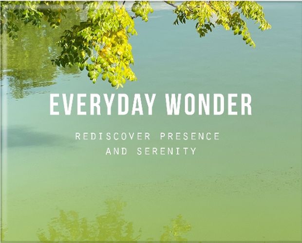 Cover image for Everyday Wonder