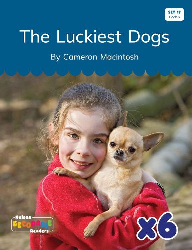 Cover image for The Luckiest Dogs x 6 (Set 17, Book 6)