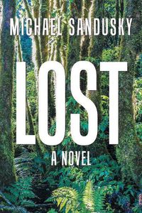 Cover image for Lost