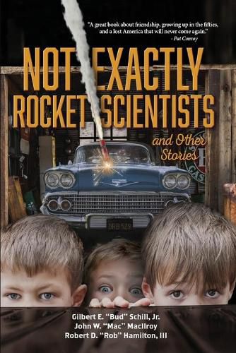 Cover image for Not Exactly Rocket Scientists and Other Stories