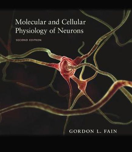 Cover image for Molecular and Cellular Physiology of Neurons, Second Edition