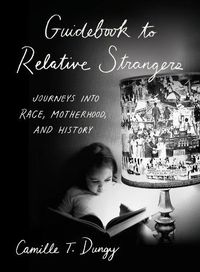 Cover image for Guidebook to Relative Strangers: Journeys into Race, Motherhood, and History