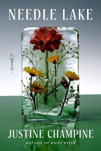 Cover image for Needle Lake