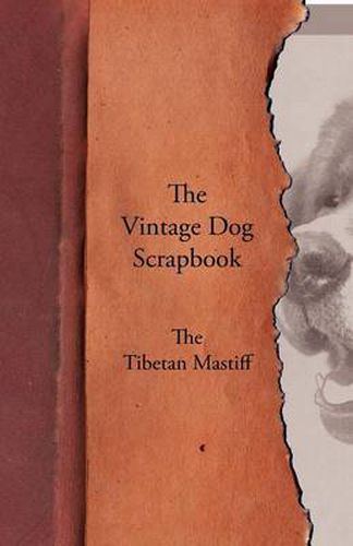 Cover image for The Vintage Dog Scrapbook - The Tibetan Mastiff