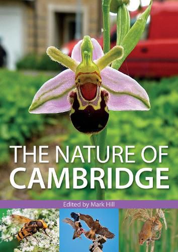 Cover image for The Nature of Cambridge