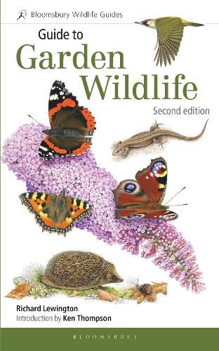 Cover image for Guide to Garden Wildlife (2nd edition)