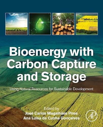 Cover image for Bioenergy with Carbon Capture and Storage: Using Natural Resources for Sustainable Development