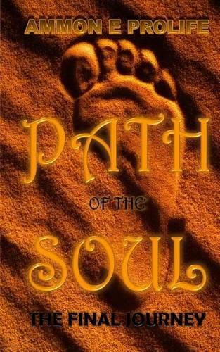 Cover image for Path of the Soul: The Final Journey