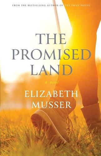 Cover image for The Promised Land