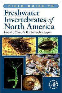 Cover image for Field Guide to Freshwater Invertebrates of North America