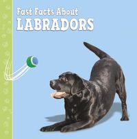 Cover image for Fast Facts About Labradors